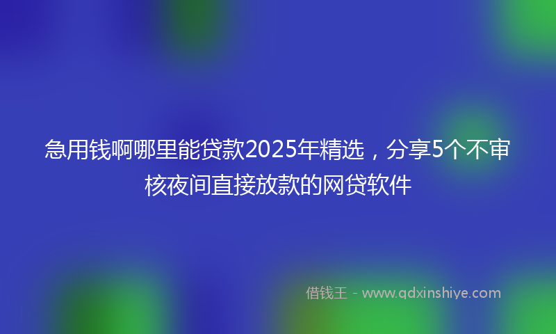 急用钱啊哪里能贷款2025年精选，分享5个不审核夜间直接放款的网贷软件