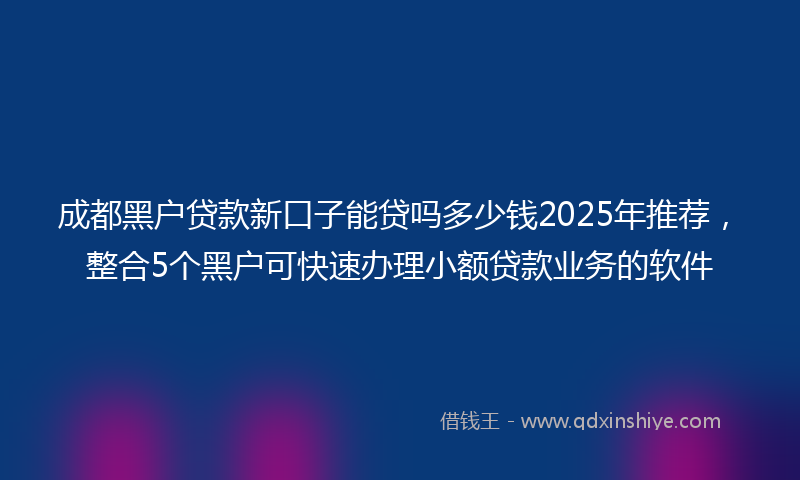 成都黑户贷款新口子能贷吗多少钱2025年推荐，整合5个黑户可快速办理小额贷款业务的软件