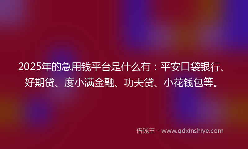 2025年的急用钱平台是什么有：平安口袋银行、好期贷、度小满金融、功夫贷、小花钱包等。
