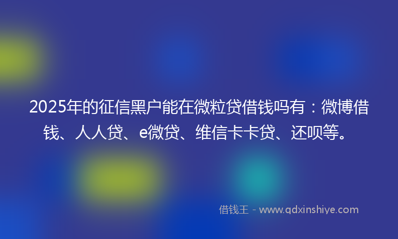 2025年的征信黑户能在微粒贷借钱吗有：微博借钱、人人贷、e微贷、维信卡卡贷、还呗等。