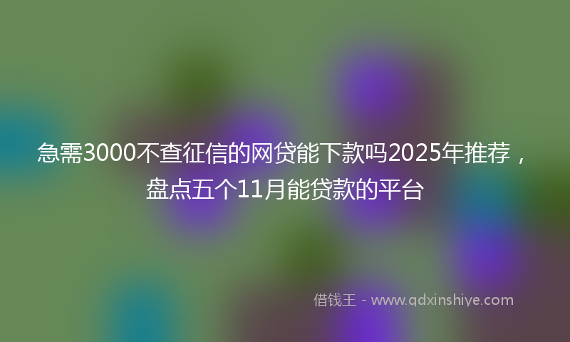 急需3000不查征信的网贷能下款吗2025年推荐，盘点五个11月能贷款的平台
