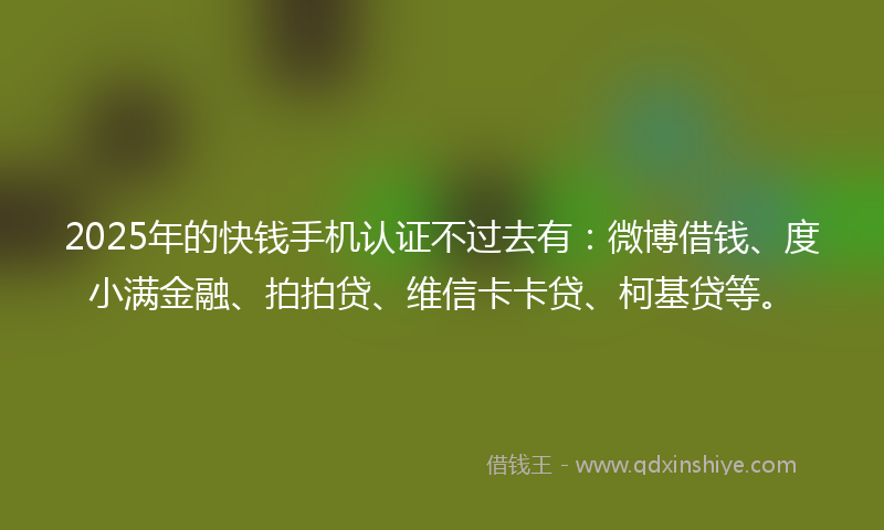 2025年的快钱手机认证不过去有：微博借钱、度小满金融、拍拍贷、维信卡卡贷、柯基贷等。