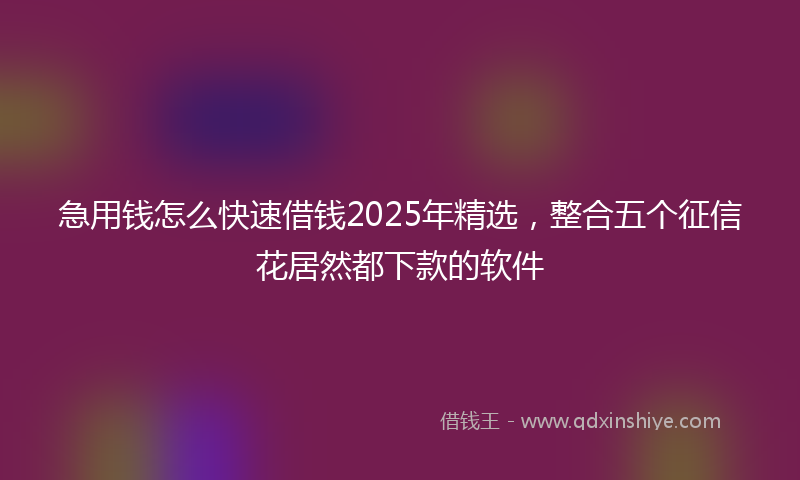 急用钱怎么快速借钱2025年精选，整合五个征信花居然都下款的软件
