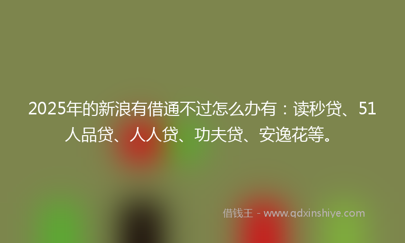 2025年的新浪有借通不过怎么办有：读秒贷、51人品贷、人人贷、功夫贷、安逸花等。