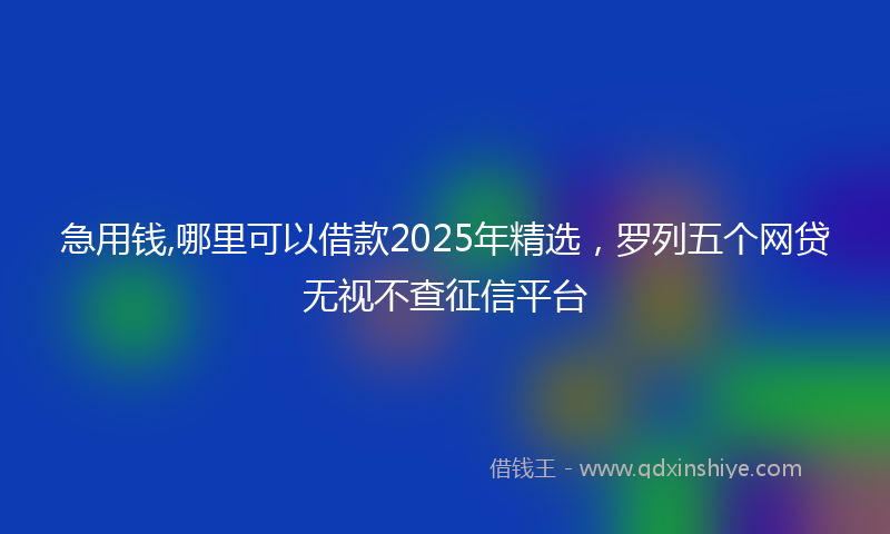 急用钱,哪里可以借款2025年精选，罗列五个网贷无视不查征信平台