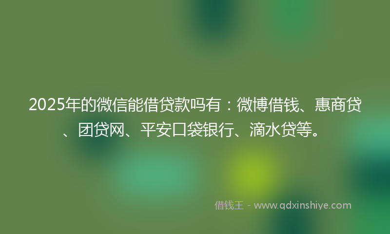 2025年的微信能借贷款吗有：微博借钱、惠商贷、团贷网、平安口袋银行、滴水贷等。