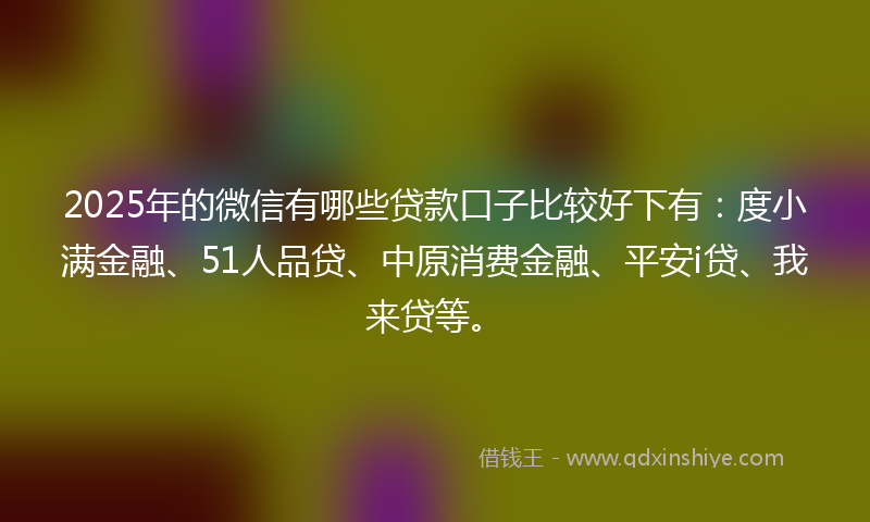 2025年的微信有哪些贷款口子比较好下有：度小满金融、51人品贷、中原消费金融、平安i贷、我来贷等。