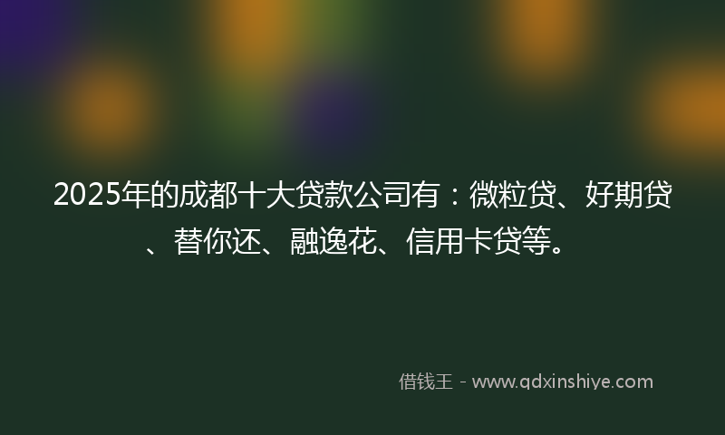 2025年的成都十大贷款公司有：微粒贷、好期贷、替你还、融逸花、信用卡贷等。