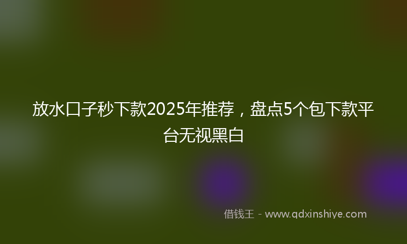 放水口子秒下款2025年推荐，盘点5个包下款平台无视黑白