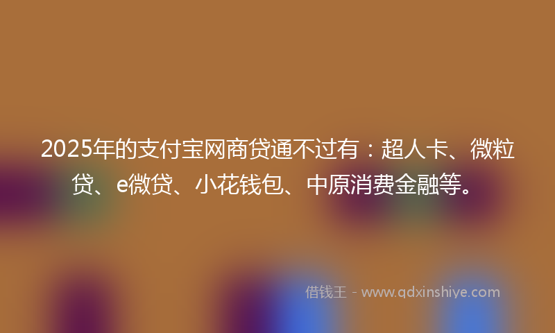 2025年的支付宝网商贷通不过有：超人卡、微粒贷、e微贷、小花钱包、中原消费金融等。