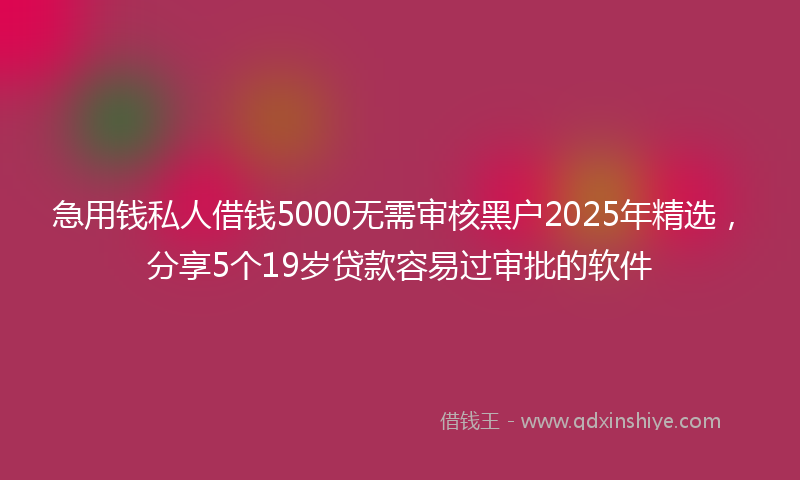 急用钱私人借钱5000无需审核黑户2025年精选，分享5个19岁贷款容易过审批的软件