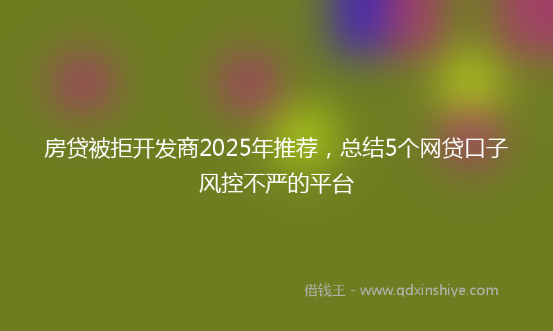 房贷被拒开发商2025年推荐，总结5个网贷口子风控不严的平台