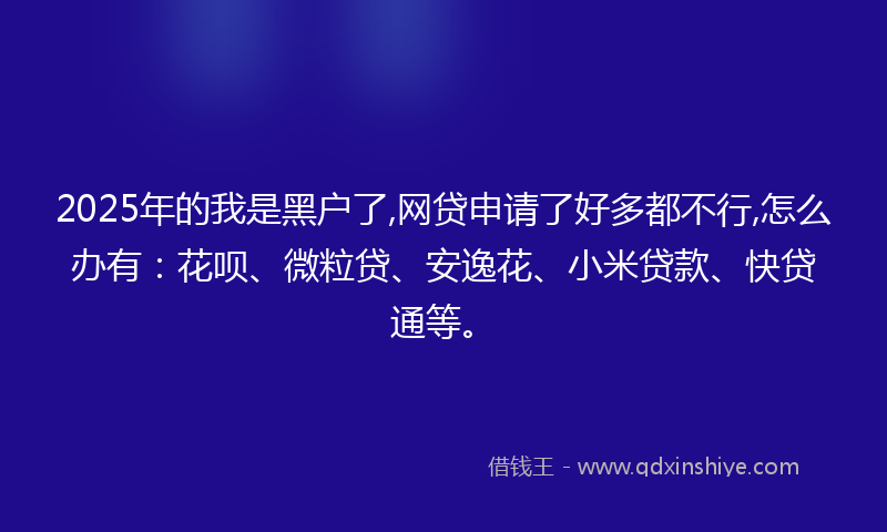 2025年的我是黑户了,网贷申请了好多都不行,怎么办有：花呗、微粒贷、安逸花、小米贷款、快贷通等。