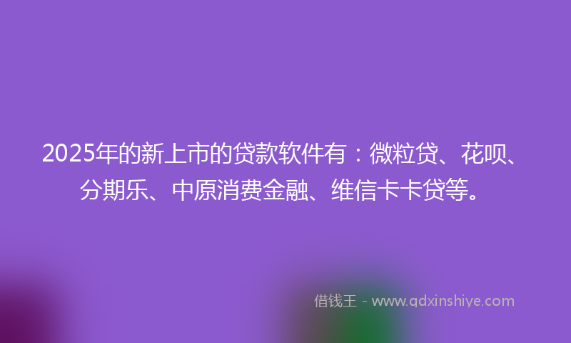 2025年的新上市的贷款软件有：微粒贷、花呗、分期乐、中原消费金融、维信卡卡贷等。