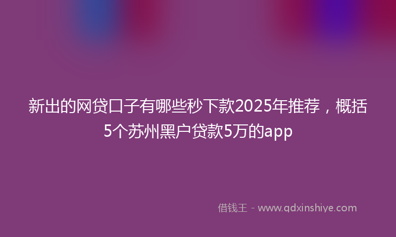 新出的网贷口子有哪些秒下款2025年推荐，概括5个苏州黑户贷款5万的app