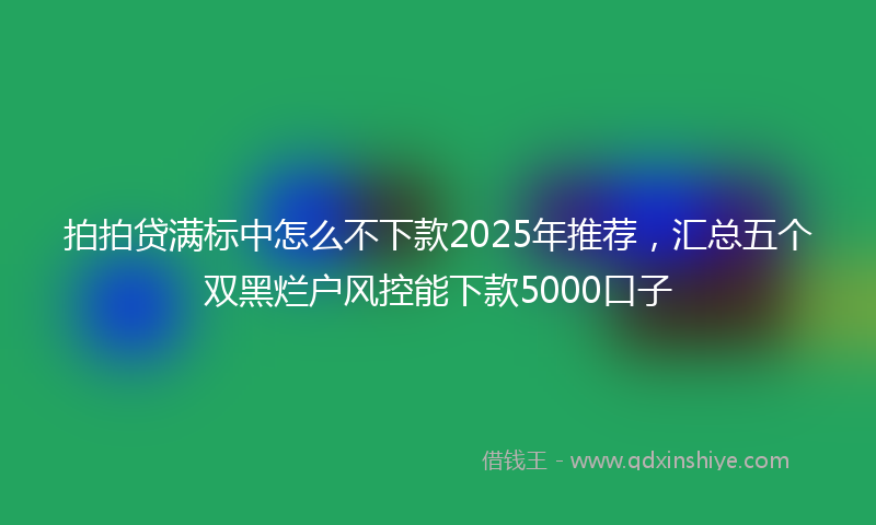 拍拍贷满标中怎么不下款2025年推荐，汇总五个双黑烂户风控能下款5000口子