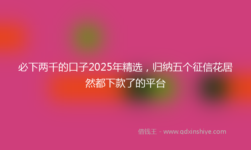 必下两千的口子2025年精选，归纳五个征信花居然都下款了的平台
