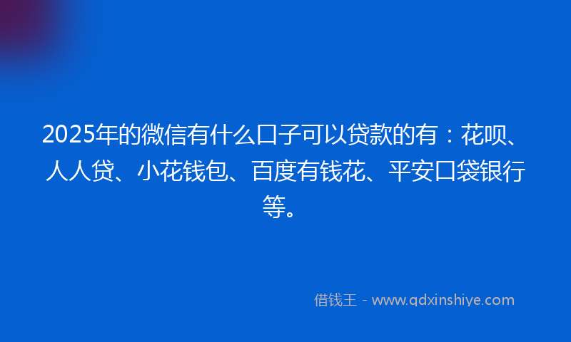 2025年的微信有什么口子可以贷款的有：花呗、人人贷、小花钱包、百度有钱花、平安口袋银行等。