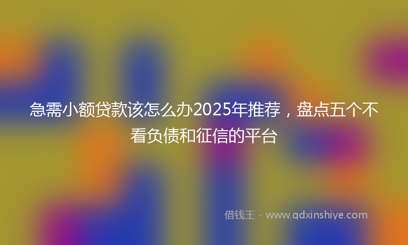 急需小额贷款该怎么办2025年推荐，盘点五个不看负债和征信的平台