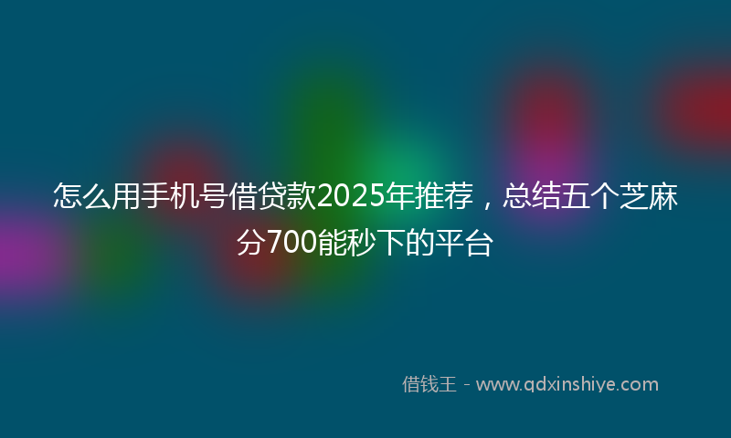 怎么用手机号借贷款2025年推荐，总结五个芝麻分700能秒下的平台