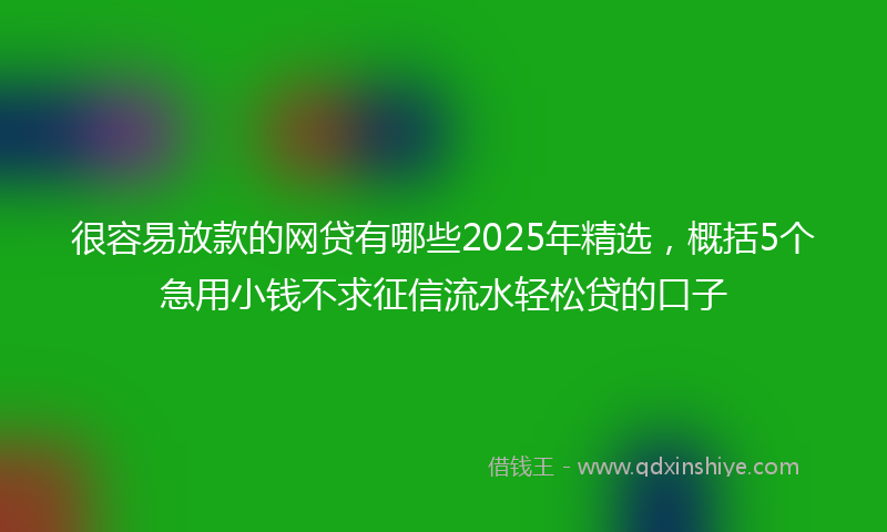 很容易放款的网贷有哪些2025年精选，概括5个急用小钱不求征信流水轻松贷的口子