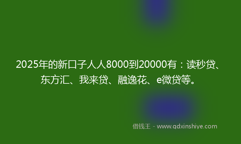 2025年的新口子人人8000到20000有：读秒贷、东方汇、我来贷、融逸花、e微贷等。