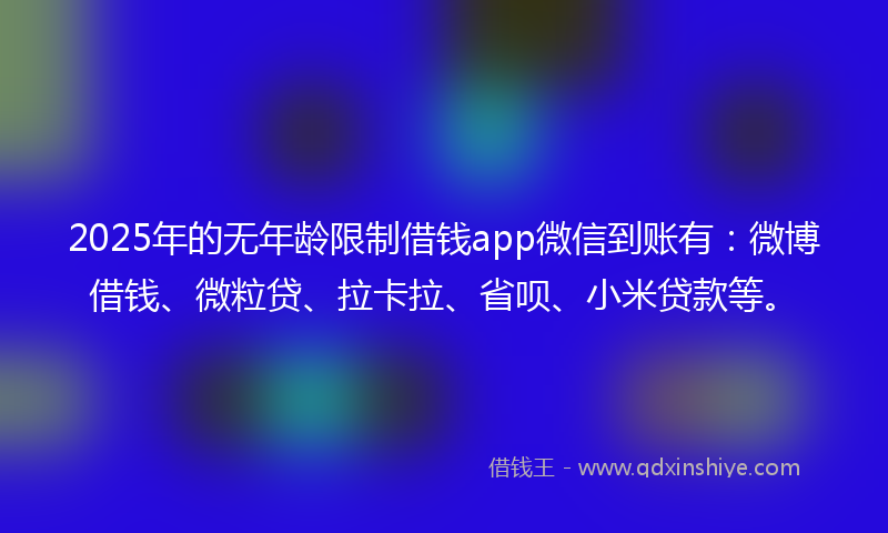 2025年的无年龄限制借钱app微信到账有：微博借钱、微粒贷、拉卡拉、省呗、小米贷款等。