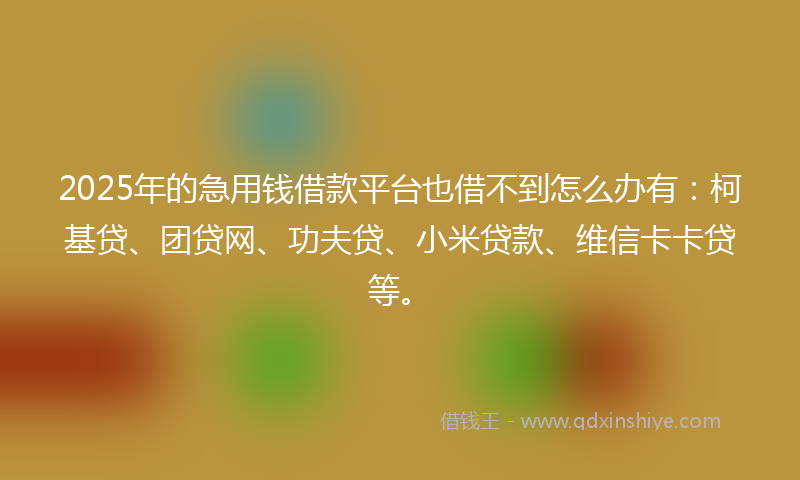 2025年的急用钱借款平台也借不到怎么办有：柯基贷、团贷网、功夫贷、小米贷款、维信卡卡贷等。