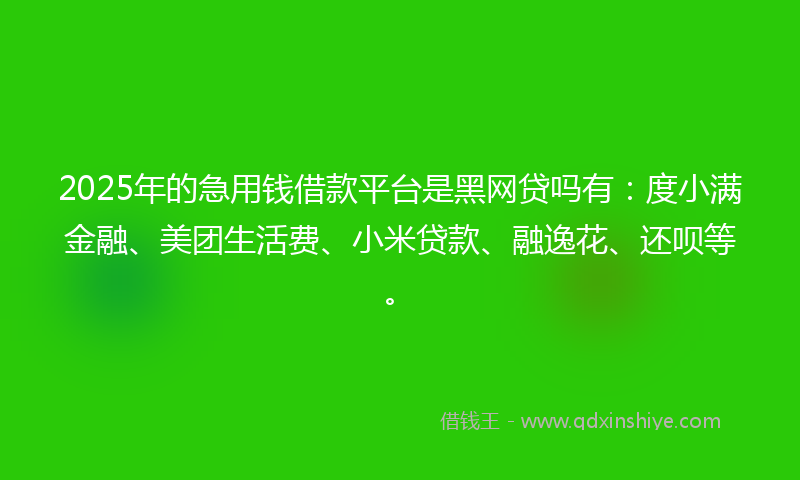 2025年的急用钱借款平台是黑网贷吗有：度小满金融、美团生活费、小米贷款、融逸花、还呗等。