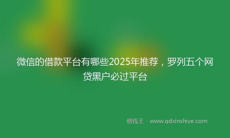 微信的借款平台有哪些2025年推荐，罗列五个网贷黑户必过平台