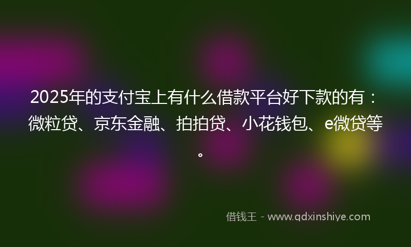 2025年的支付宝上有什么借款平台好下款的有：微粒贷、京东金融、拍拍贷、小花钱包、e微贷等。