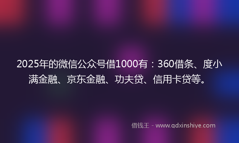 2025年的微信公众号借1000有：360借条、度小满金融、京东金融、功夫贷、信用卡贷等。