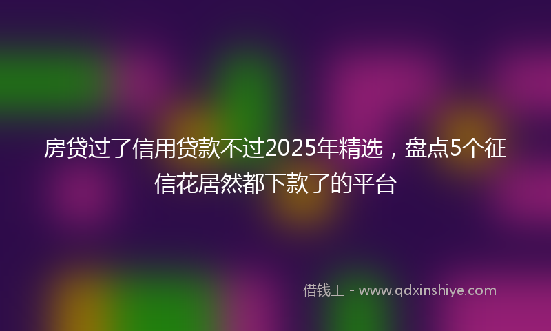 房贷过了信用贷款不过2025年精选，盘点5个征信花居然都下款了的平台