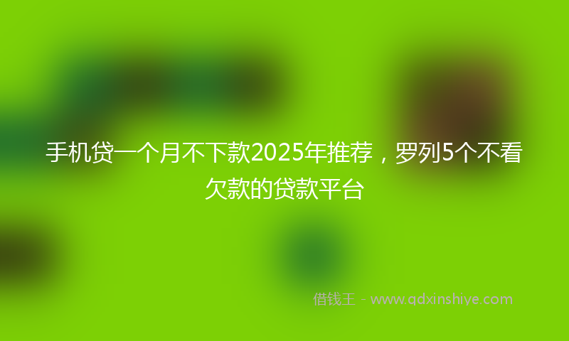 手机贷一个月不下款2025年推荐，罗列5个不看欠款的贷款平台