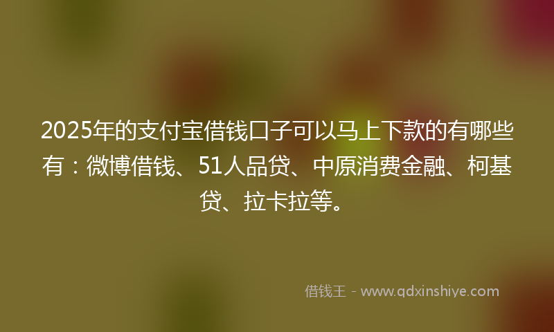 2025年的支付宝借钱口子可以马上下款的有哪些有：微博借钱、51人品贷、中原消费金融、柯基贷、拉卡拉等。