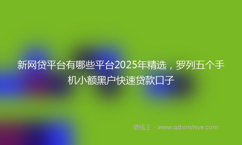新网贷平台有哪些平台2025年精选，罗列五个手机小额黑户快速贷款口子