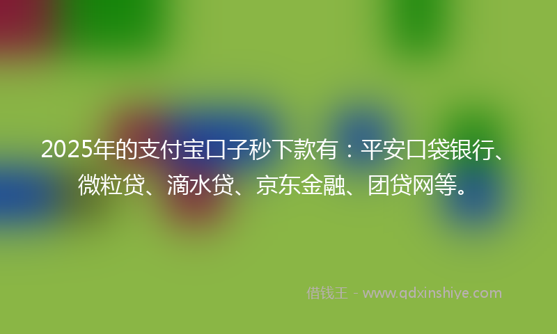 2025年的支付宝口子秒下款有：平安口袋银行、微粒贷、滴水贷、京东金融、团贷网等。