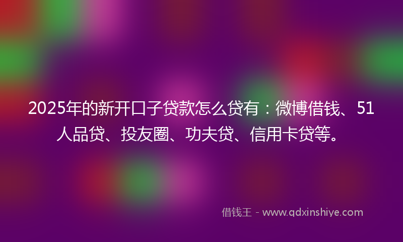2025年的新开口子贷款怎么贷有：微博借钱、51人品贷、投友圈、功夫贷、信用卡贷等。
