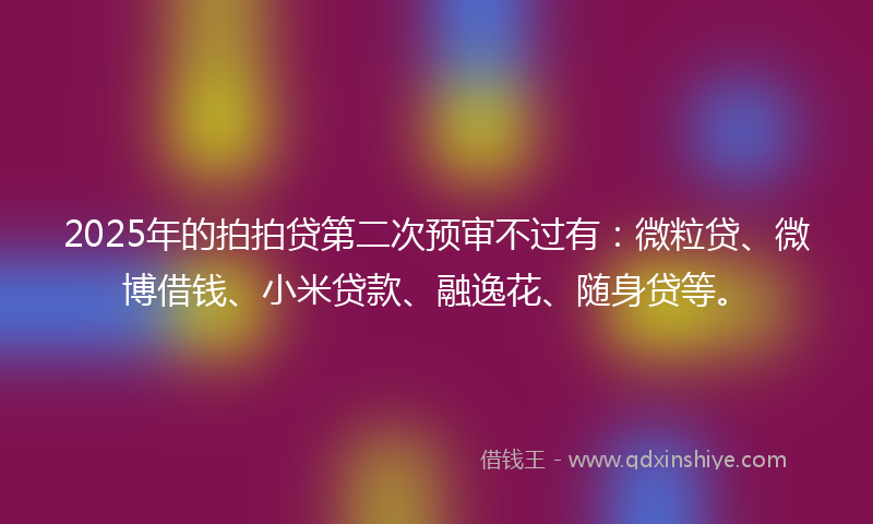 2025年的拍拍贷第二次预审不过有：微粒贷、微博借钱、小米贷款、融逸花、随身贷等。