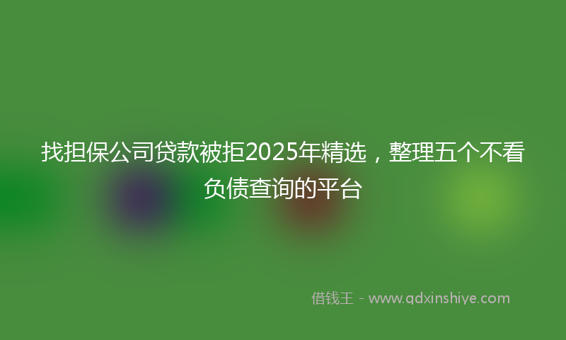 找担保公司贷款被拒2025年精选，整理五个不看负债查询的平台