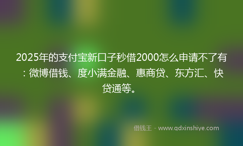 2025年的支付宝新口子秒借2000怎么申请不了有：微博借钱、度小满金融、惠商贷、东方汇、快贷通等。