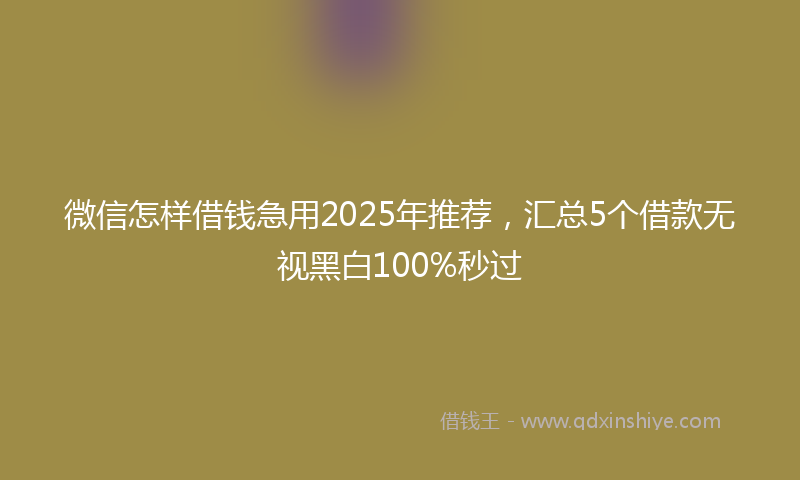 微信怎样借钱急用2025年推荐，汇总5个借款无视黑白100%秒过