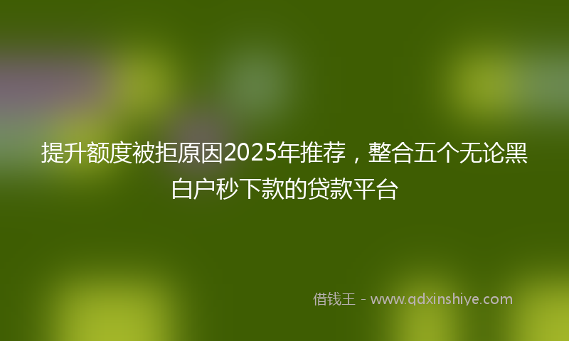 提升额度被拒原因2025年推荐，整合五个无论黑白户秒下款的贷款平台
