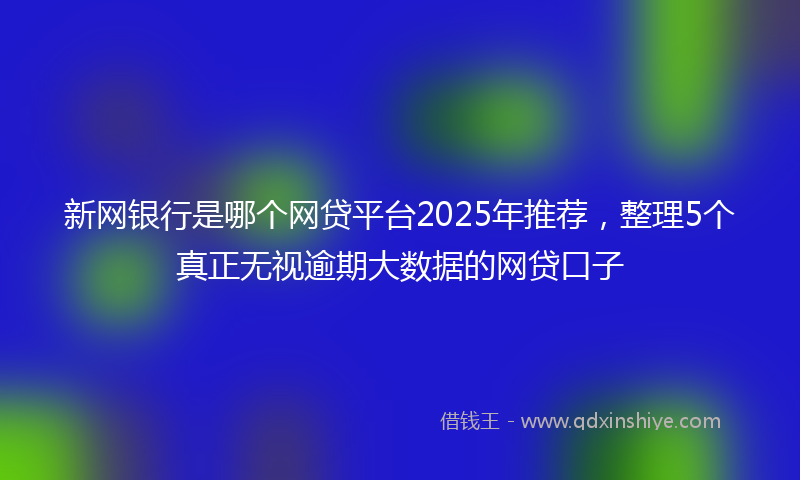 新网银行是哪个网贷平台2025年推荐，整理5个真正无视逾期大数据的网贷口子