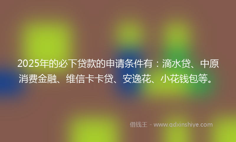 2025年的必下贷款的申请条件有：滴水贷、中原消费金融、维信卡卡贷、安逸花、小花钱包等。
