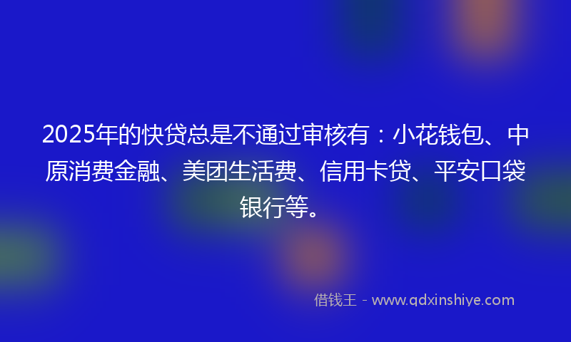2025年的快贷总是不通过审核有：小花钱包、中原消费金融、美团生活费、信用卡贷、平安口袋银行等。