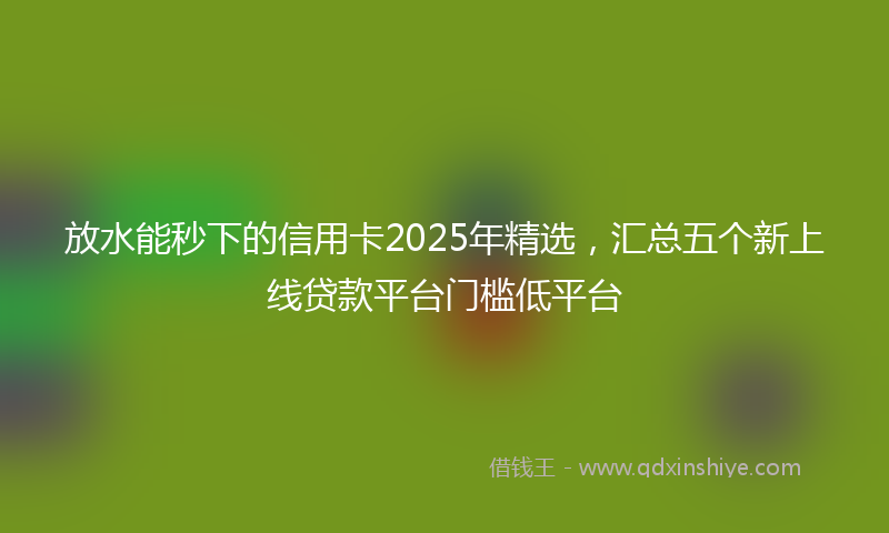 放水能秒下的信用卡2025年精选，汇总五个新上线贷款平台门槛低平台