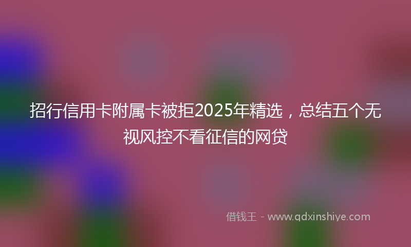 招行信用卡附属卡被拒2025年精选，总结五个无视风控不看征信的网贷