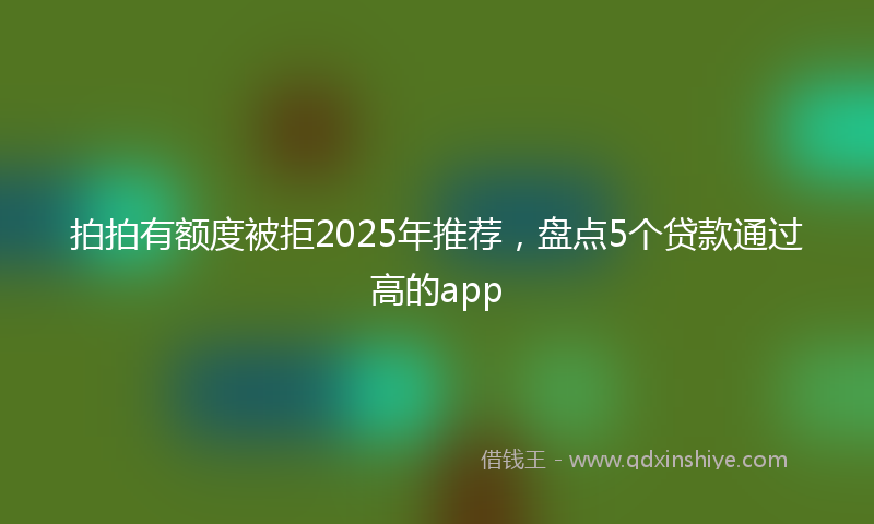 拍拍有额度被拒2025年推荐，盘点5个贷款通过高的app