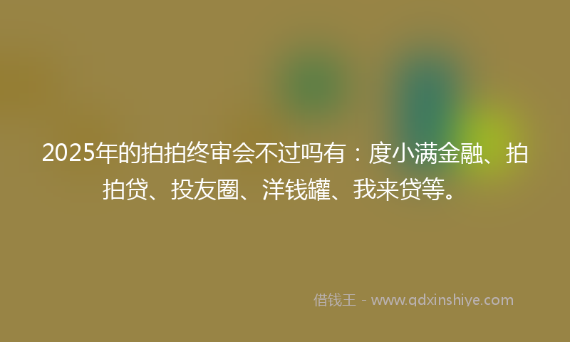 2025年的拍拍终审会不过吗有：度小满金融、拍拍贷、投友圈、洋钱罐、我来贷等。